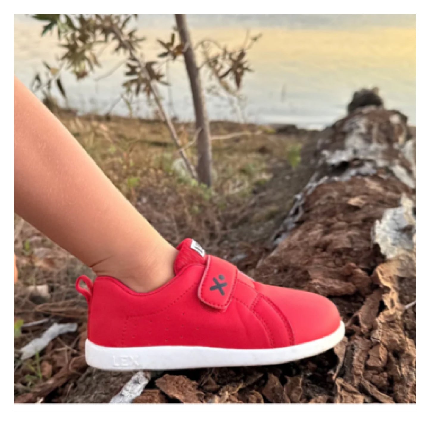 Lex OG-ruby red (25eu-27eu)