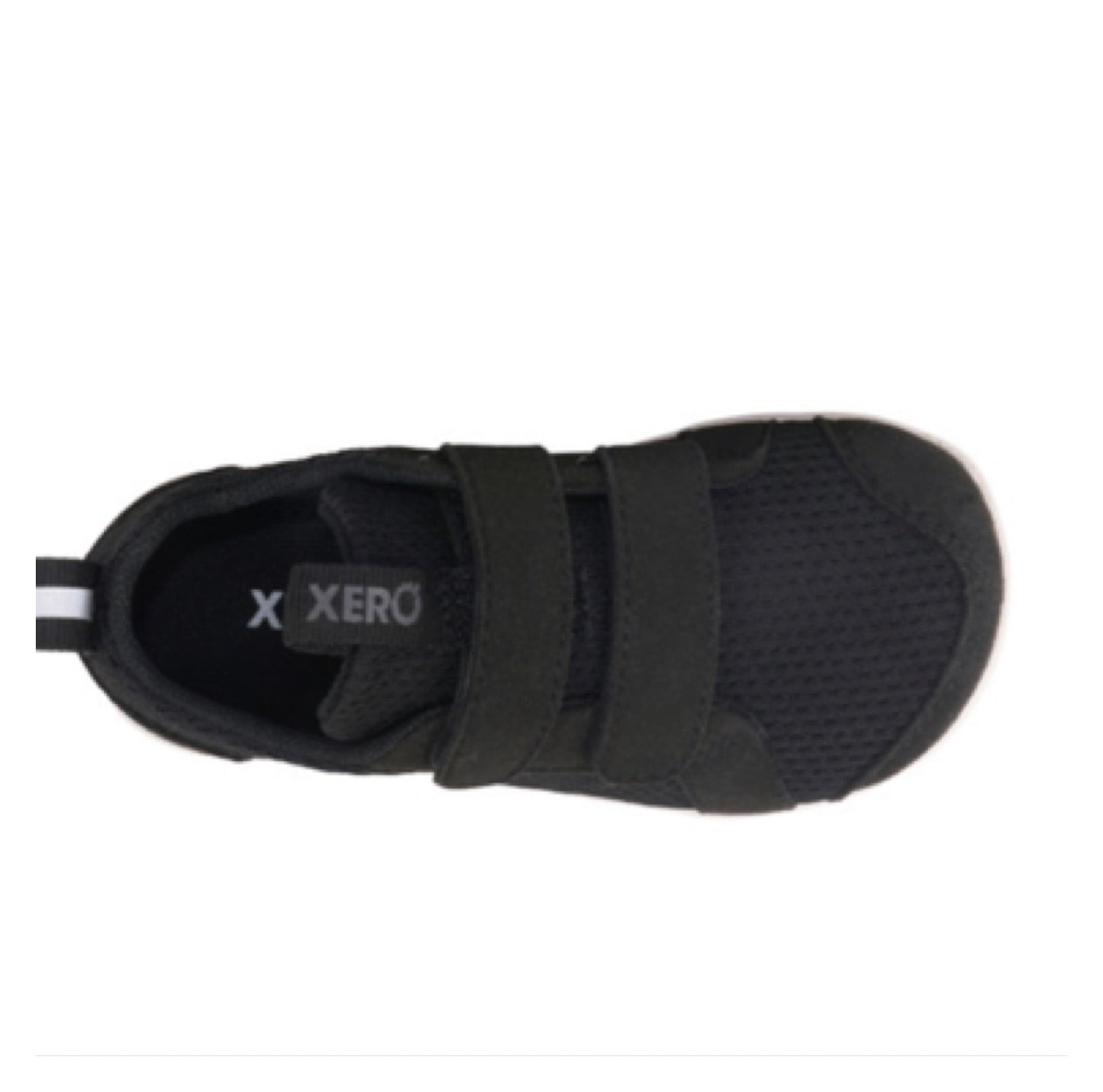 Xero Dillon knit (kids)